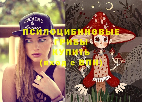 спиды Арсеньев