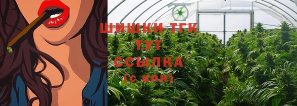 спиды Арсеньев