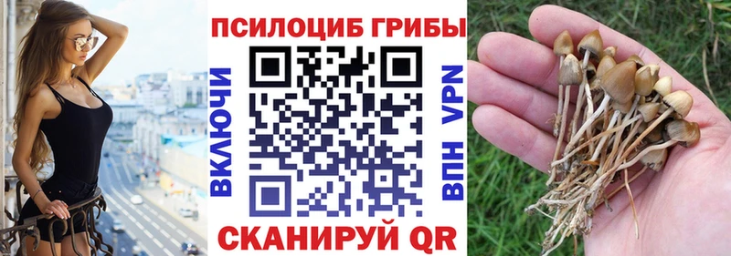 Галлюциногенные грибы MAGIC MUSHROOMS  цены наркотик  Асбест 